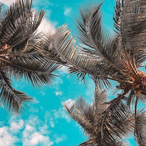 Welcome to my closet!